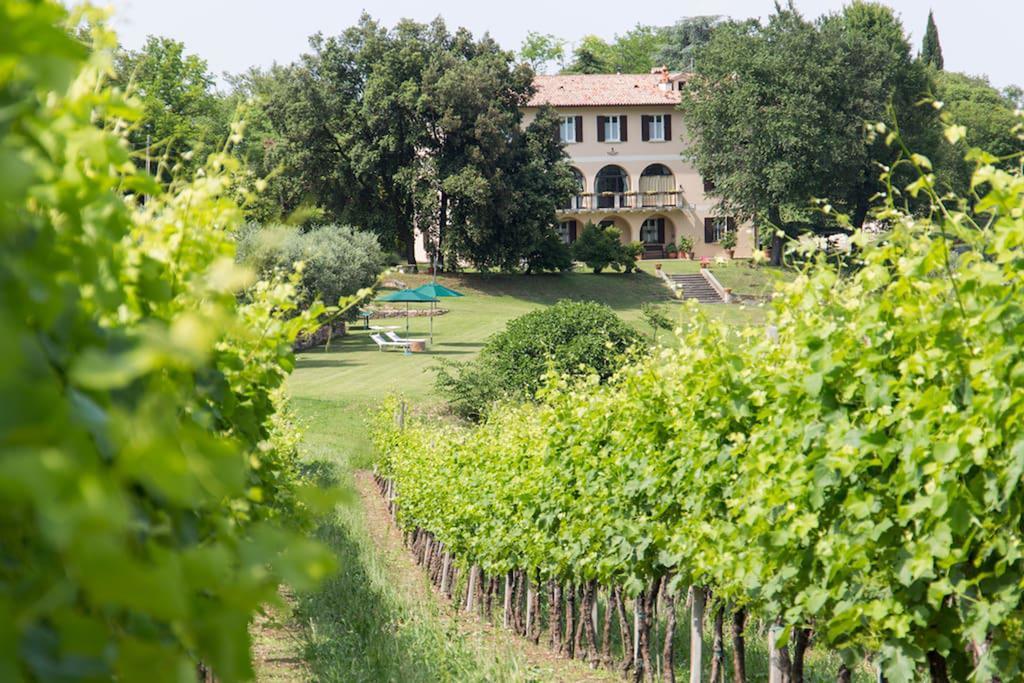 Villa Marani Rovolon Extérieur photo